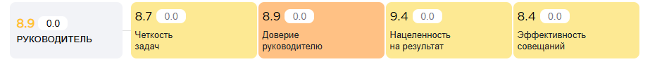 Метрика «Руководитель»